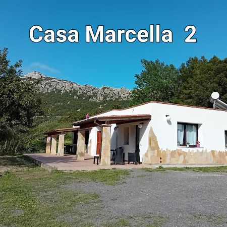 多尔加利Casa Marcella公寓 外观 照片