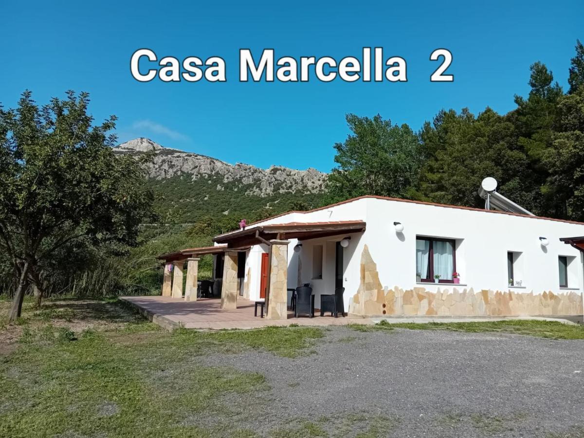 多尔加利Casa Marcella公寓 外观 照片
